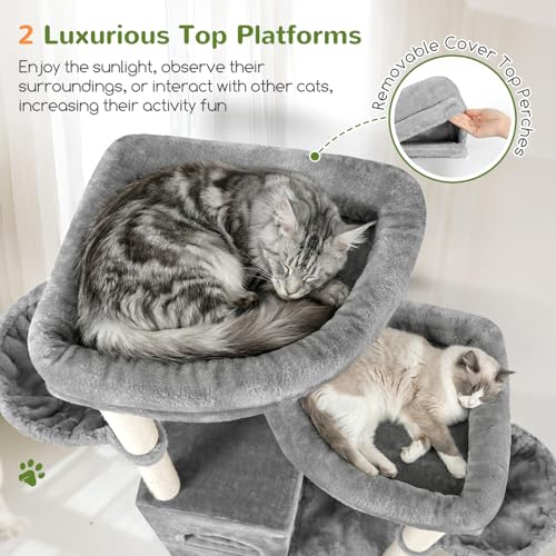 Image of Globlazer Cat Tree Tower for Indoor Cats, Sturdy Adult Cat Tree House for Large Adult Cats with 2 Platform, 6 Cat Scratching Post, 2 Cat Caves, Dangling Toys, S63, 63 inch, Light Grey