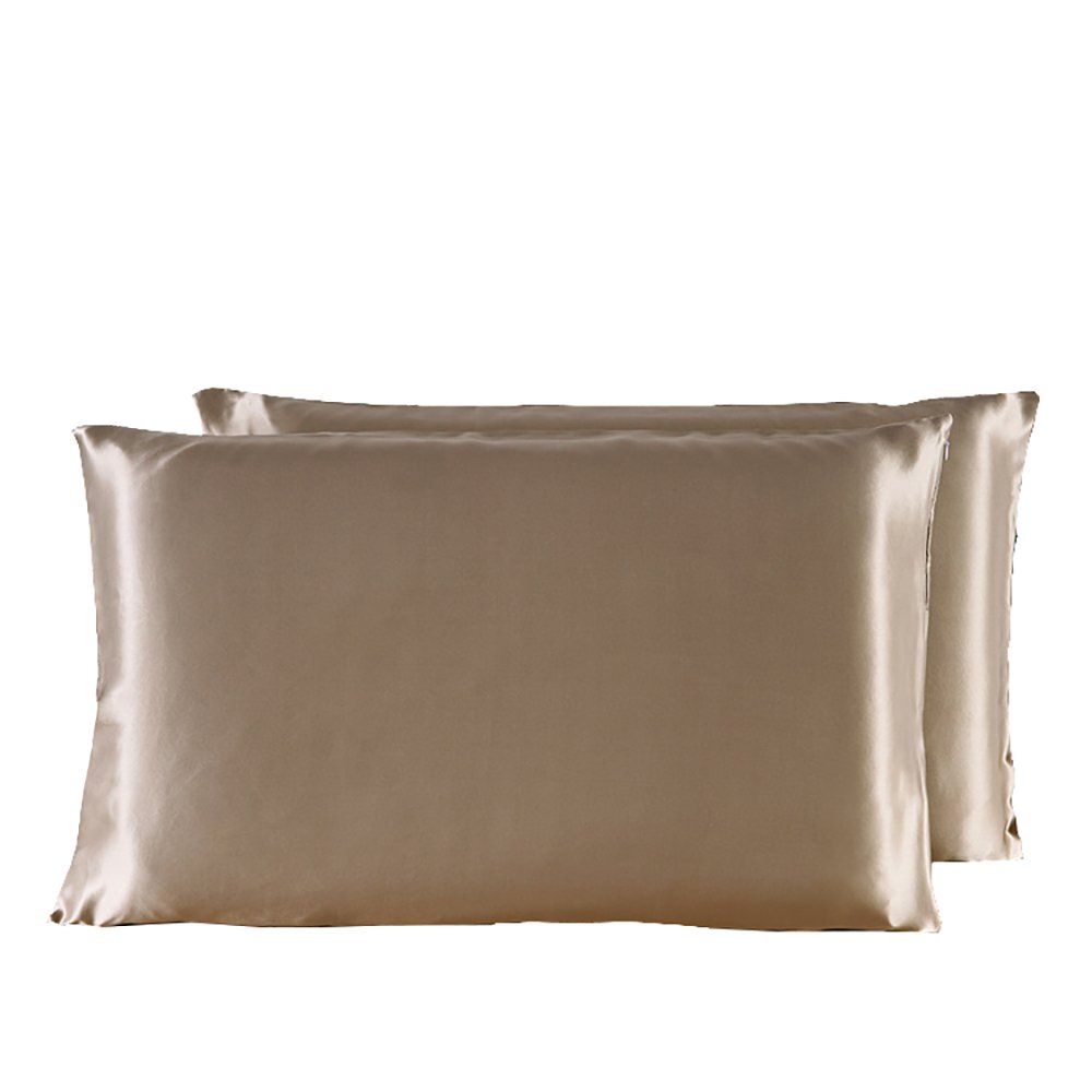 Lsharon Taupe Silk 100% 19 Momme Mulberry Silk Pillowcase With Cotton Underside 51X76cm (Taupe)
