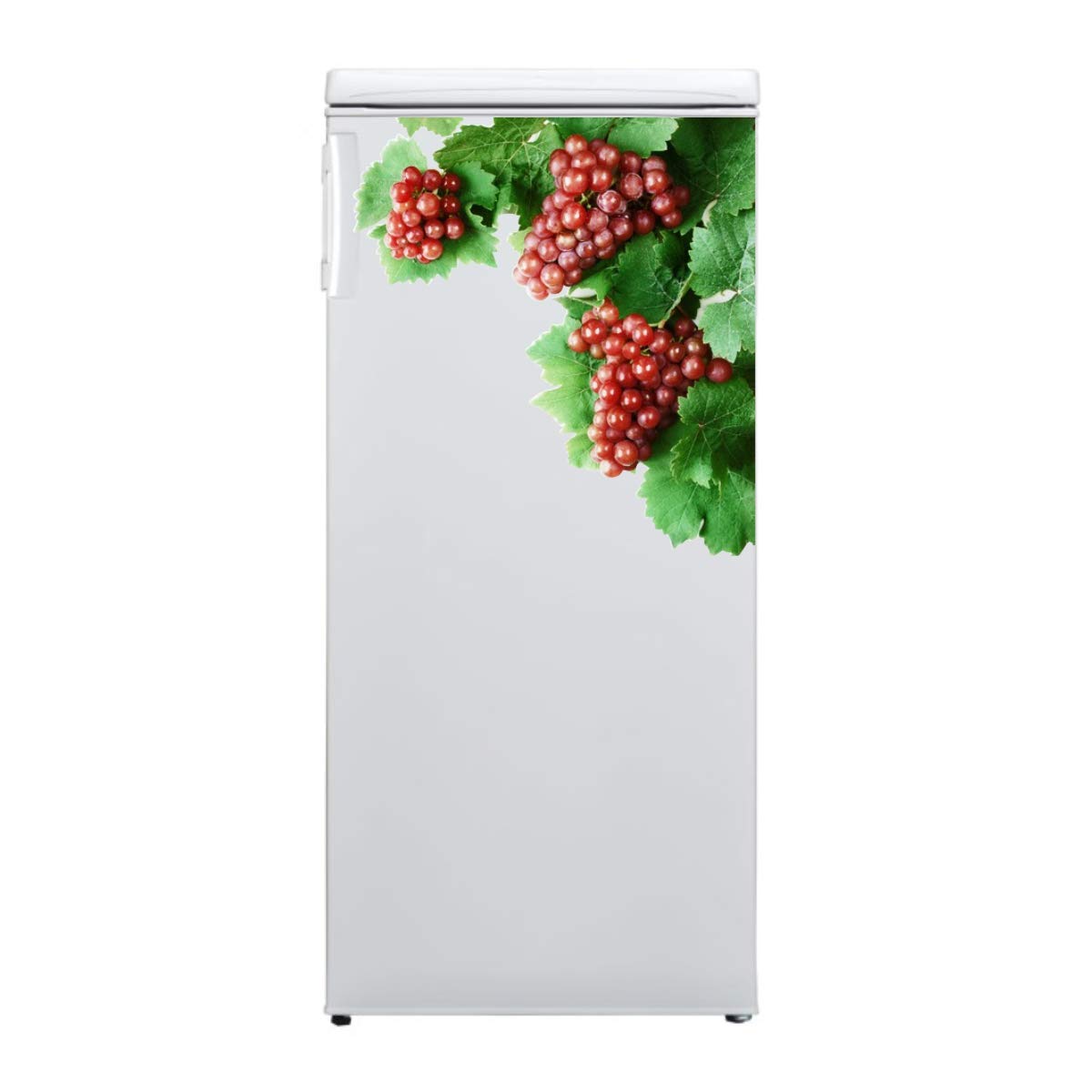 Sticker Studio PVC Vinyl Grapes Tree Print Double Door Decorative Fridge Sticker for Kitchen Refrigerator,Size: 53 CM X43 CM, Multicolor, Pack of 1