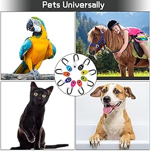 Frienda 9 Pieces Dog Training Clicker with Wrist Strap Pet Training Clicker Dog Behavioral Clicker for Behavioral Training Dogs Cats Birds Horses (Multicolor, Water Drop Style) Frienda 9 Pieces Dog Training Clicker with Wrist Strap Pet Training Clicker Dog Behavioral Clicker for Behavioral Training Dogs Cats Birds Horses (Multicolor, Water Drop Style)