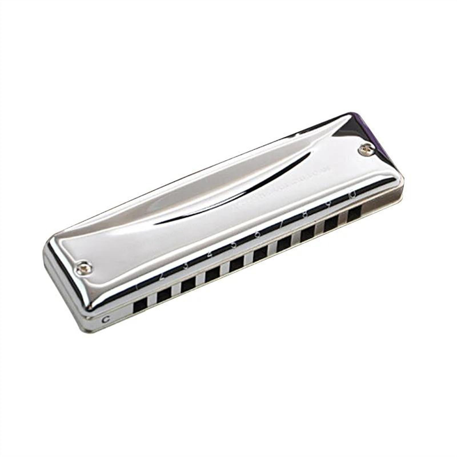 Armonica Armonica diatonica a 10 fori Blues Harp Armonica professionale in tonalità di Do(G)