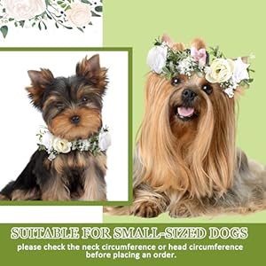 2 Pcs Dog Flower Collar Wedding and Leash Set Pearls for Dogs 120 cm 4 ft Pearls Beaded Dog Leash Dog Collar Bows for Wedding Adjustable for Medium Dogs Floral Collars Pet (Small)