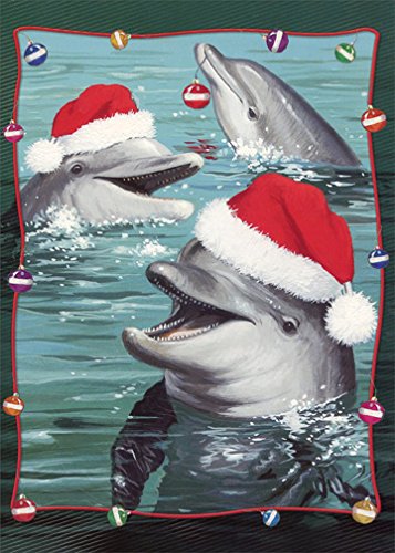 Red Farm Studios Dolphins with Santa Hats Box of 18 Warm Weather Christmas Cards