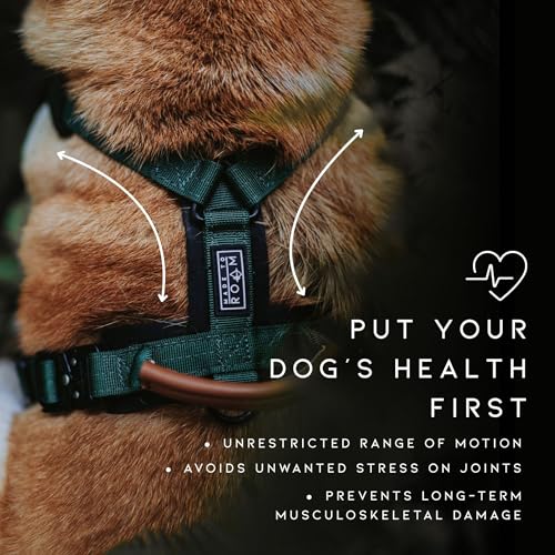 MADE TO ROAM Premium Explorer Harness - Y-Shaped Dog Harness with Adjustable Durable Nylon, Soft Padding, Metal Buckles and Leather Handle for Small, Medium, Large Dogs (Vermont Weekends, Size 2) - Thumbnail 4