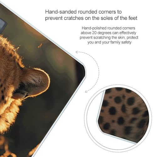 Báscula Digital de Baño Precisa Cheetah 400lb miniatura 4