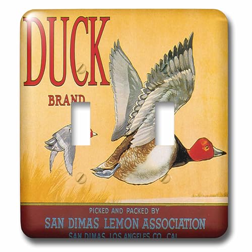 Interrupteur à bascule double 3dRose Duck Brand San Dimas multicolore