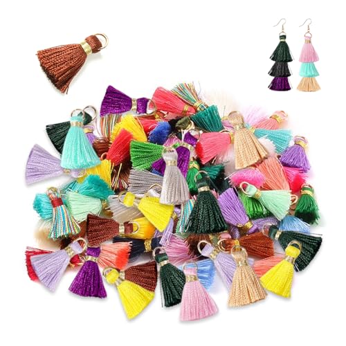 HMCEY 100 PCS Mini Glands Colorés 2 CM,Mini Glands Tassels Loisirs Creatifs,Pendentifs Gland Decoratif pour Bijoux,Pompon Gland Porte Clef,Tassel Pompon de...