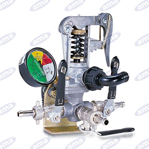 Gruppo comando AR GI40 2 vie completo di kit a distanza. 80 lt/min, 40 bar