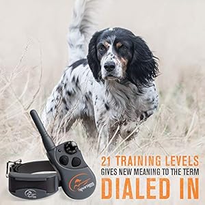 Sportdogbrandfieldtrainer425xremotetrainingcollarecollarfordogswaterproofdogtrainersubmersibleupto25feetrechargeabledogtrainingcollarwithremoteshockvibrateandtone Urban Country Home Decor Sportdog brand fieldtrainer 425x remote training collar e collar for dogs waterproof dog trainer submersible up to 25 feet rechargeable dog training collar with remote shock vibrate and tone urban country home decor