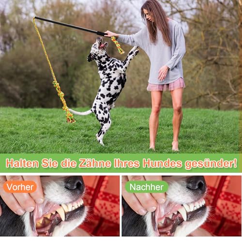 HYSHLC Reizangel Hunde, Reizangel für Hund Große Längenverstellbare, Aktives Hundespielzeug Unzerstörbar, Hundetraining mit Knotenspielzeug Grün und Orange
