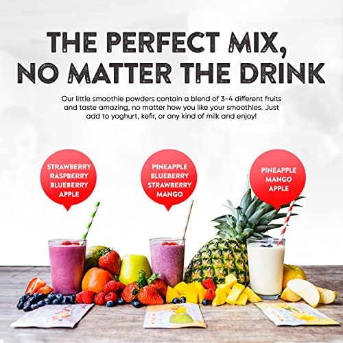 Summer Fruit Smoothie Mix Packets - Pineapple, Mango, Blueberry, Strawberry- Natural Smoothie Powder  Delicious Home Smoothie Kit - 100% Natural Fruit