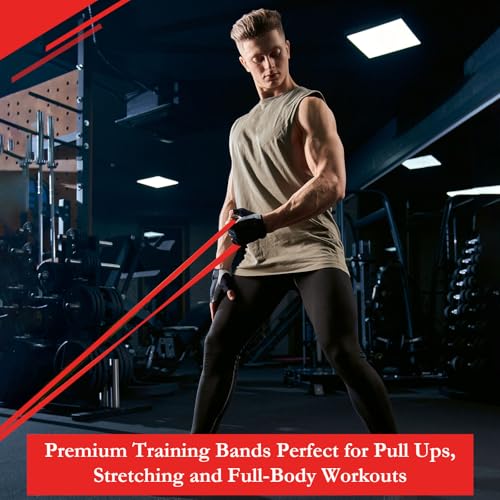 Image of 8 Pcs Resistance Bands Pull up Bands Pull up Assistance Bands Exercise Workout Bands for Working Out Muscle Training Physical Therapy Muscle Training Men and Women