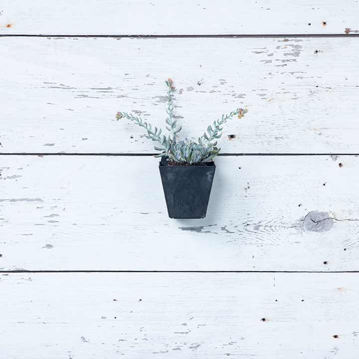 Root & Vessel Self Watering Wall Planters for Indoor or Outdoor Plants, Unique Marbled Wall Pot, Made of Eco-Friendly Blend of Stone and Plastic, Black, 5.5