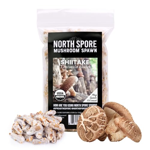 North Spore Organic Shiitake (100 ct) Mushroom Plugs for Logs | Premium Quality Mushroom Plug Spawn | Handmade in Maine, USA | Grow Gourmet Mushrooms Outdoors on Logs | Lentinula edodes