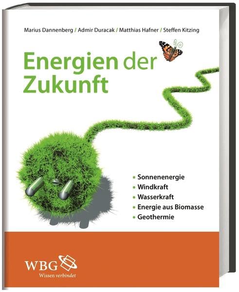 Energien der Zukunft: Sonne, Wind, Wasser, Biomasse, Geothermie