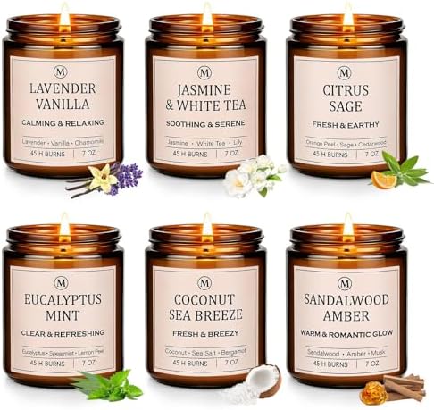 6-Pack Scented Soy Candle Set – Lavender Vanilla, Eucalyptus, San...