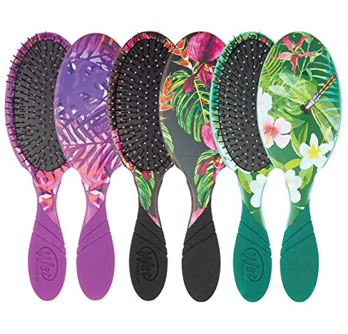 Generic Wet Brush Pro Detangler Neon Tropics Hair Brush Set. Bundle Includes 3 Tropical Island Inspired Hair Brushes, Multi-Colored, 3 Count (Pack of 1)