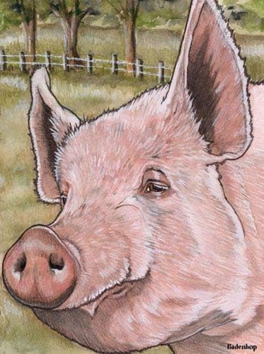 Pig Note Cards Set of 10 cards & 10 envelopes