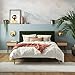 Mr. Kate Daphne Upholstered Queen Bed Frame with Headboard, Velvet Queen Bed Frame, Modern Platform, Olive Green Velvet, Queen