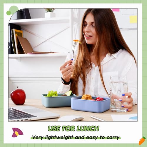 Image of Layhit 4 Pcs Silicone Bento Box for Adults, 27 oz Bento Lunch Container Reusable Food Container for Women Men, Leak Proof Microwave Dishwasher Freezer Safe (2 Compartments,Dark Colors)