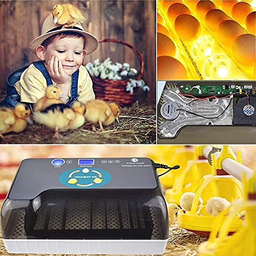 12 eieren automatische ei incubator, LED High-efficiency Automatische ei draaien en temperatuurregeling, automatische… - Afbeelding 7