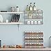 Auledio 2 Pack Spice Rack Organizer, 3 Tier Counter-top Stand or Wall Mounted Storage Rack Hanging Shelf for Kitchen Cabinet, Cupboard, Pantry Door or Bathroom Shower Cosmetic - Chrome