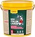 sera (07028) Koi Color Nature Large 21 Ltr. EIN natürliches Farbfutter mit 10% Spirulina für farbenprächtige Koi ab 25 cm, Koifutter ohne Farb- & Konservierungsstoffe Color of günstig Kaufen-sera (07028) Koi Color Nature Large 21 Ltr. EIN natürliches Farbfutter mit 10% Spirulina für farbenprächtige Koi ab 25 cm, Koifutter ohne Farb- & Konservierungsstoffe
