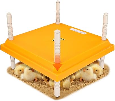 Brooder Heater for Chicks, 12" x 12" Thermostatically Controlled Brooder Heating Plate, Chick Brooder Heater with Adjustable Height and Angle