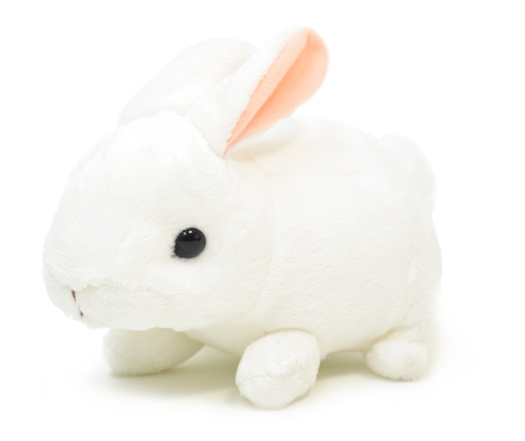 Amazon.co.jp: AQUA ぬいぐるみ ファーム もちもち うさぎ ホワイト