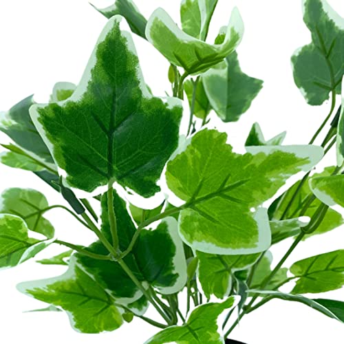 "Bring Life to Your Space with Stylish Tdas Artificial Plants in Pots - Perfect Home Decor Items for Indoor and Outdoor - Set of 2 (Design5) - 33 cm" "Bring Life to Your Space with Stylish Tdas Artificial Plants in Pots - Perfect Home Decor Items for Indoor and Outdoor - Set of 2 (Design5) - 33 cm"