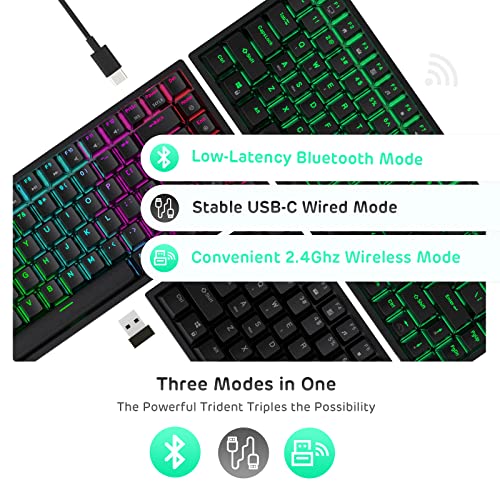RK ROYAL KLUDGE RK84 Wireless RGB 75% Triple Mode BT5.0/2.4G/USB-C Hot Swappable Mechanical Keyboard, 84 Keys Wireless Gaming Keyboard w/High-Capacity Battery, Clicky Blue Switch