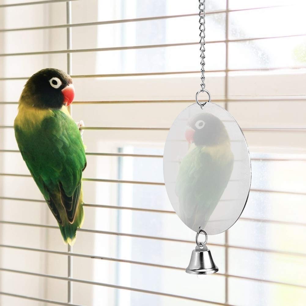 Image showcasing Snapklik.com : Stainless Steel Bird Mirror, Budgie Toys Mirror, Parrot ...