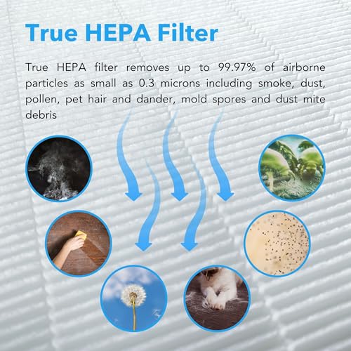 True HEPA Air Purifier for Allergies
