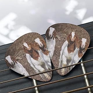 Smiling Goats Lot de 12 médiators pour guitare basse électrique acoustique - Les Beatles, Paul McCartney, John Lennon, RIngo Starr, George Harrison Smiling Goats Lot de 12 médiators pour guitare basse électrique acoustique – Image 7