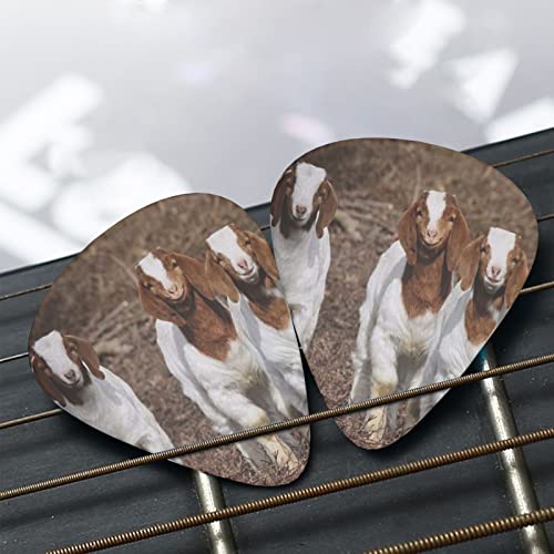 Smiling Goats Lot de 12 médiators pour guitare basse électrique acoustique - Les Beatles, Paul McCartney, John Lennon, RIngo Starr, George Harrison Smiling Goats Lot de 12 médiators pour guitare basse électrique acoustique – Image 8