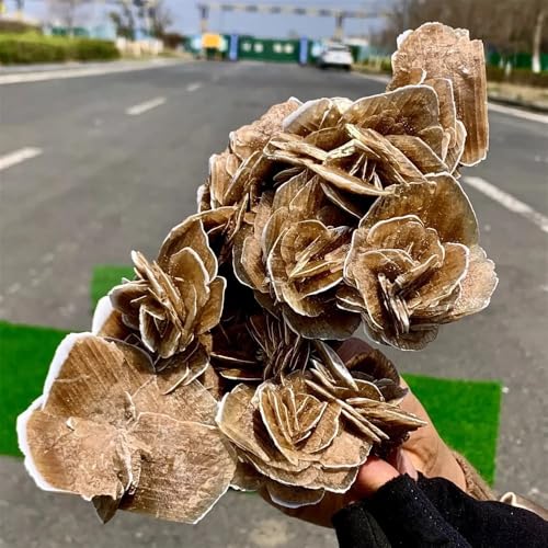 Rosa del desierto y selenita para decorar una oficina zen o dormitorio 3