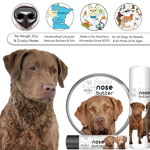 Image of The Blissful Dog Chesapeake Bay Retriever Unscented Nose Butter, 0.50-Ounce