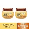 Garnier-Whole-Blends-Honey-Treasures-Repairing-Hair-Mask-for-Dry-Damaged-Hair-101-Fl-Oz-Pack-of-2 Garnier Whole Blends Honey Treasures Repairing Mask, for Dry, Damaged Hair, 10.1 Fl Oz, 2 Count (Packaging May Vary)