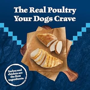 Blue buffalo wilderness high protein natural adult wet dog food plus wholesome grains turkey  chicken grill 12 5 oz cans pack of 12   cucciolini doodles