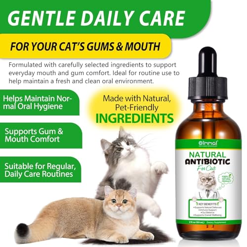 Katzen Antibiotika bei Infektionen - Natürliche Antibiotika für Katze - lindert Hustenallergien & Harnwegsinfekte - ohne künstliche Zusätze