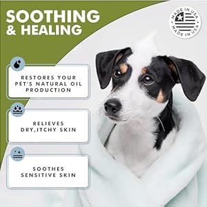 Oatmeal Dog Shampoo & Conditioner 17oz [USA] 5 in 1 Plant-Based Organic Sulfate-Free Soap-Free-Tearless Moisturizer for Dandruff Allergies & Itchy Dry Sensitive Skin-Puppy Grooming [Pro Pet Works]