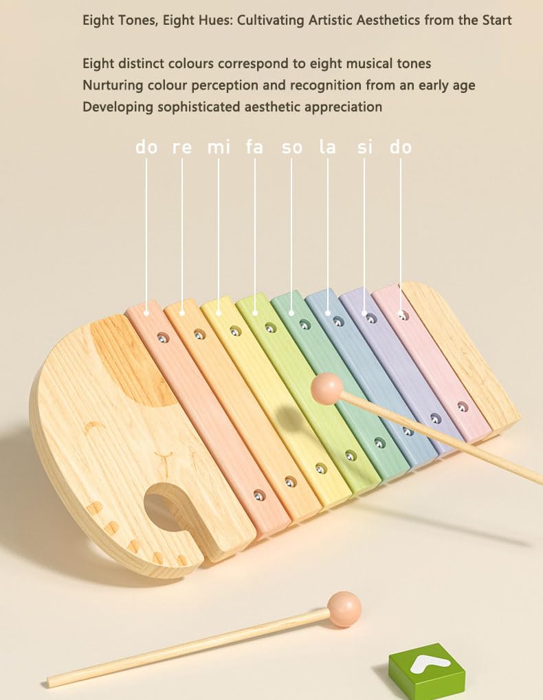 Glockenspiel Xilofono a Otto Toni Xilofono Musicale a Percussione Manuale per Principianti E Adulti Strumento a Percussione Xilofono in Legno Massello Pianoforte