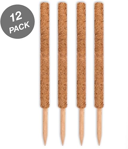 Miniatura 2 de Envelor Postes de musgo de coco, estacas de soporte para plantas de coco, estaca para plantas de coco, poste de tótem de fibra de coco, poste de