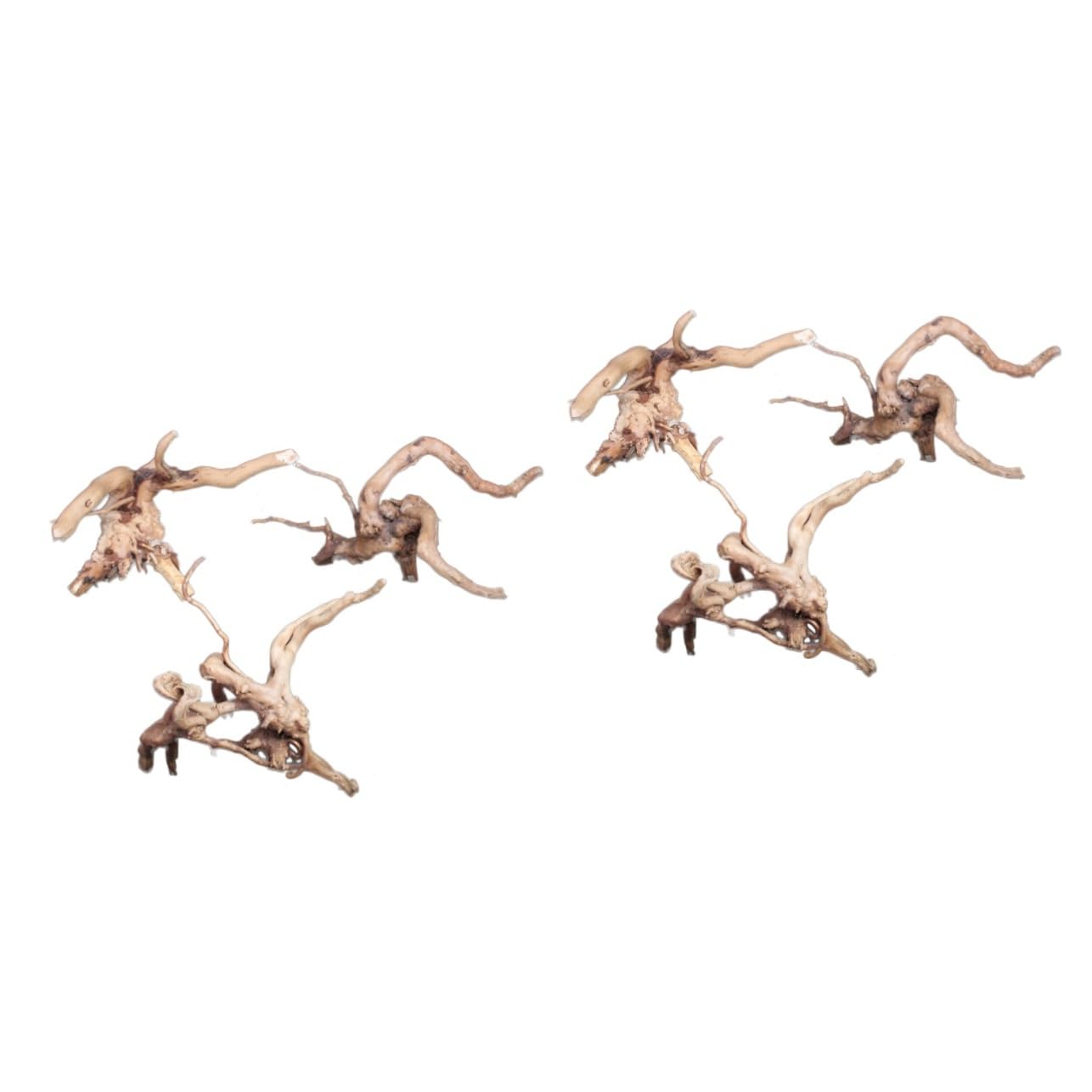 DOITOOL 2stücke Natural Wood Aquarium Ornament Miniatur Baumwurzel Für Aquarienlandschaft Für Dekoration Und Versteckmöglichkeiten Für Fische