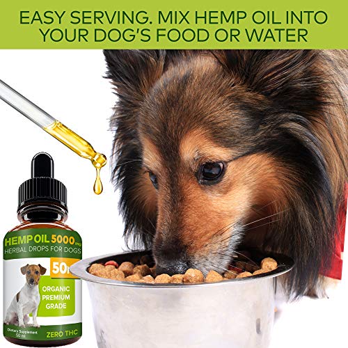 STRELLALAB-Hemp-Oil-for-Dogs-50ml-5000-MG-Made-in-UK-Hemp-Extract-Pure-Premium-Grade-Omega-3-6