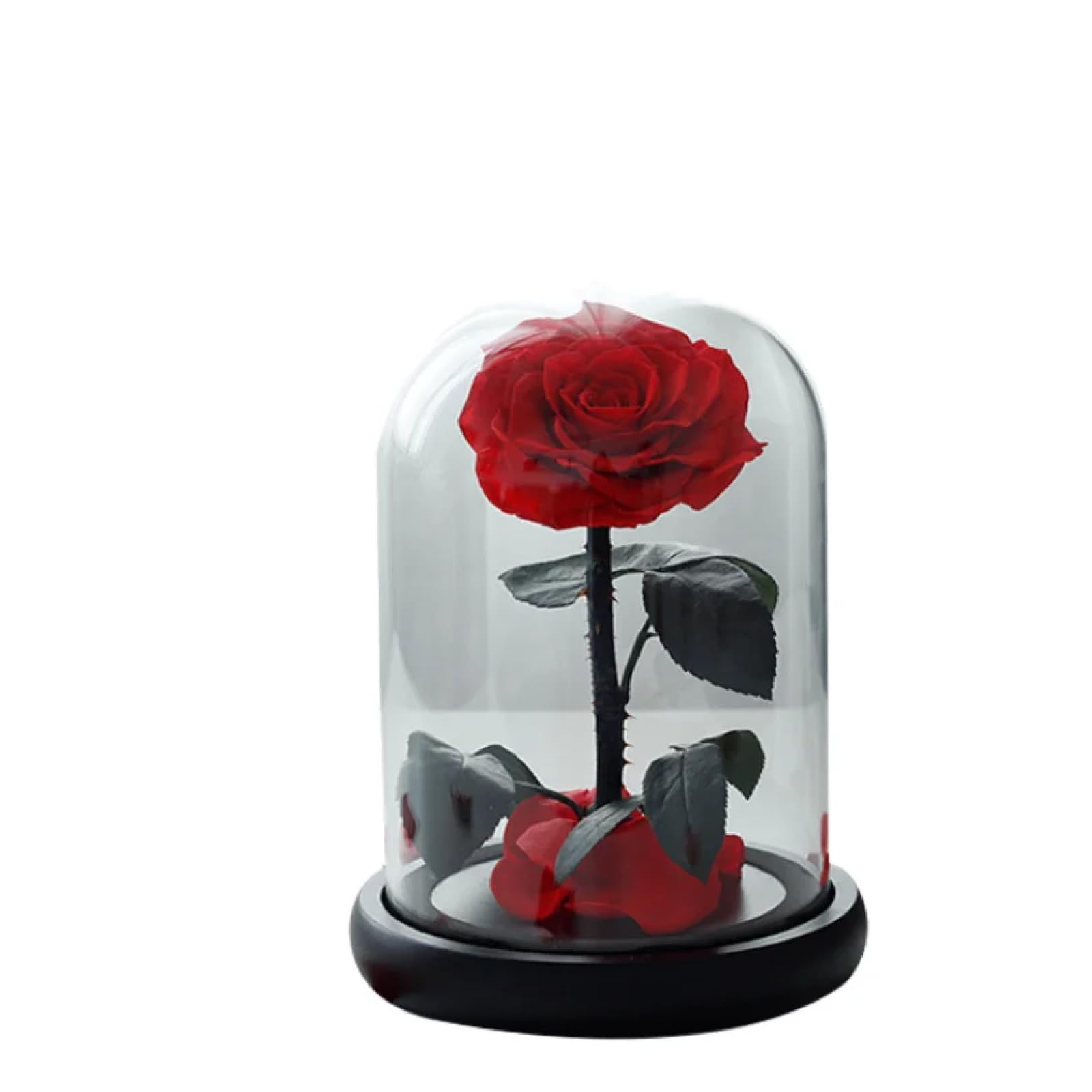 Rosa Eterna Flor de Inmortalidad DANETI: un lazo eterno de amor plasmado en cristal