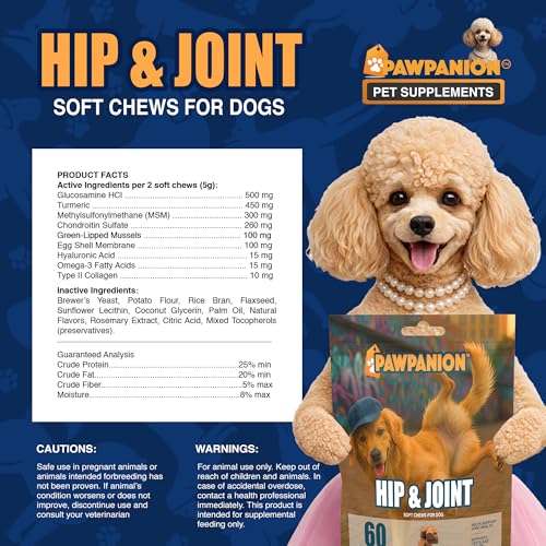 Image of Dog Hip and Joint Soft Chews with Glucosamine, 60 Count | Chondroitin, MSM, green lipped mussel and collagen support cartilage, flexibility and comfortable movement.