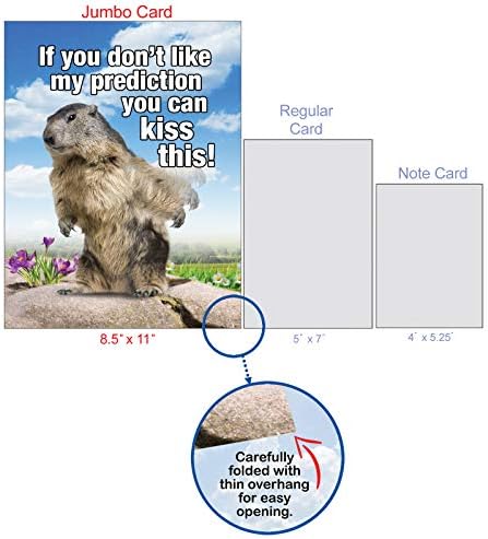 Carte De Vœux Hilarante Avec Enveloppe Grande Prediction De Marguerites Jolies Cartes Surprise Pour Anniversaire Pour Animaux Amis Famille 21 6 X 27 9 Cm J5697bdg Amazon Ca Fournitures Pour Le Bureau