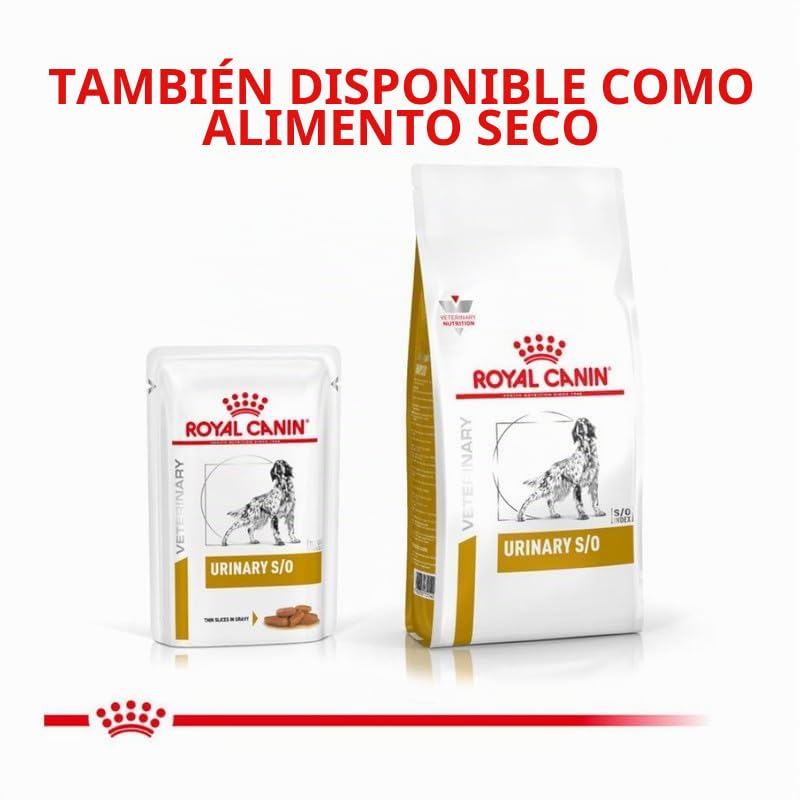 ROYAL CANIN Veterinary Urinary s/o Canine para Perros | Paquete Doble | 2 x 12 x 100 g | Comida húmeda para Perros | Trozos Finos en Salsa | para Ayudar a disolver los cálculos de estruvita