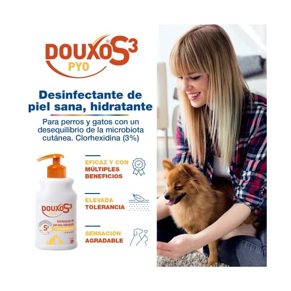 Douxo Pyo Champú 200 ml – Bild 3
